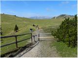 Za Ušivcem - Gradišče (Velika planina)